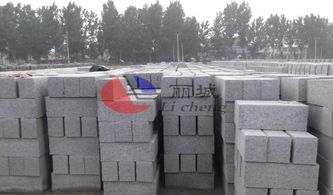嘉興麗臣塑業(yè) 水泥制品模具注塑加工與成品施工技術深度解析