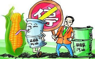 乙醇燃料能否取代傳統燃油引領能源革命？