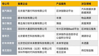 首批區塊鏈信息服務備案名單公布，京東、愛奇藝等互聯網巨頭積極布局